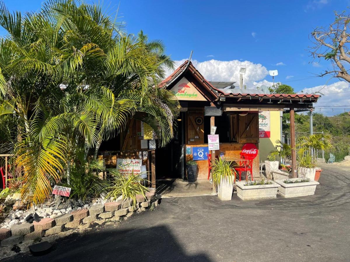 Red Flamboyan Guesthouse And Restaurant Rincon Esterno foto